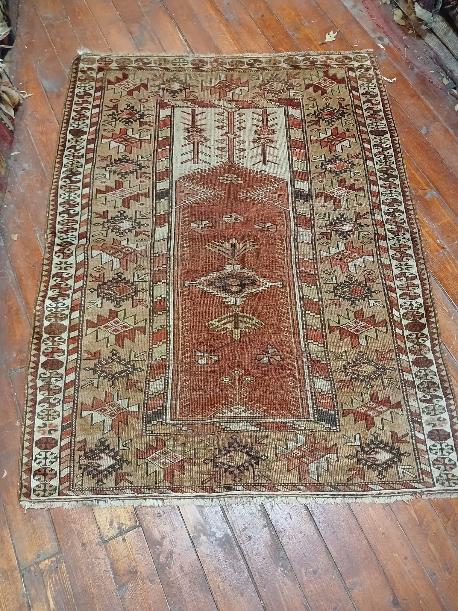 Anadolu Halı Milas Bozalan 170x125